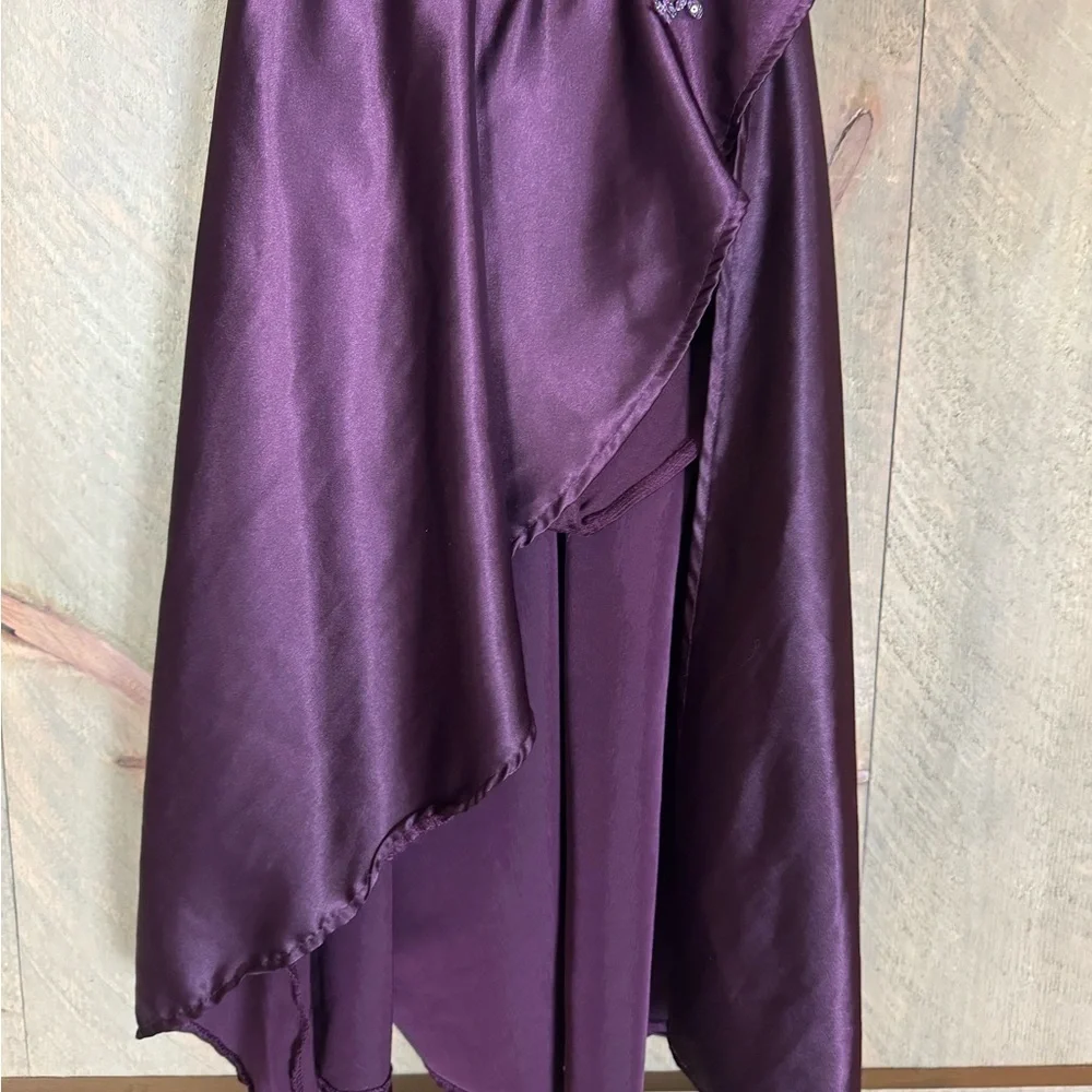 Weissman Charmeuse cutaway Chasing Cars dance costume / dress Size LC / 14